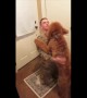 This golden-doodle didn’t know how to react when his dad came home from Afghanistan