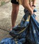90 Pound Python Found in Laundry Room