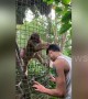 Helpful monkey tries to groom tourist's hair at wildlife park in China