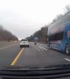 Traffic dodges bald eagles fighting on US highway