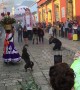 Dancing stray dog steals the show at Mexico festival