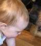 Dog and Little Boy are Best Buds