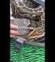 Giant python sheds skin with help from veterinarian in Chile