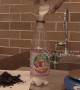 Teacher shows just how much sugar is in school canteen fizzy drink - and the results will scare you