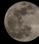 Close up of 2019's brightest supermoon, as seen from Switzerland