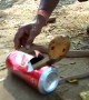 Furious cobra rescued from beer can in east India
