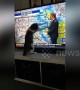 Cat launches attack on TV after bad news from the weather man