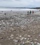 Shocking footage of Bali beach swamped by plastic waste