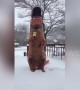 US woman in T-Rex costume mocks weather report