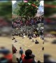 Thousands catch fish with bare hands at annual festival in China’s Fujian
