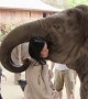 Elephant shows deep affection towards human friend