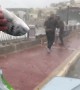 It's raining fish! Men brave raging storm on Malta to pick up fish blown ashore
