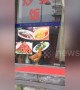 Hungry Hen Tries To Eat Food On Restaurant Sign In China’s Gansu