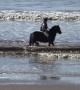 Horse cools off in sea during UK's February heatwave