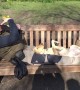 Dog sunbathes belly-up in London park as capital hit by hottest February days on record