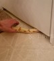 Huge snake tries to squeeze into small crack under door but can't fit