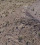 300 Ft BASE Jump into Cactus Patch
