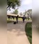 Terrifying moment report of gunfire causes mass panic at San Diego college