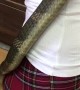 Handling a King Cobra