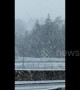 Flurries of snow cover Northumbria in wintry scenes