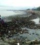 Tide of plastic garbage floods coast off Indonesia