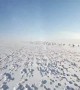 Snowmobiler crosses paths massive herd of wild rabbits