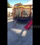 Parents buy child a trampoline only for her to run circles around it