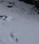 Kid Coming in Hot on a Sled