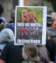 Hundreds march in London to call for enforcement of fox hunting ban