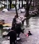Heroic man rescues old woman and her grandson that fall into pond