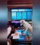 Well-trained dog helps dad supervise his daughter doing homework
