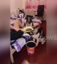 Obedient huskies serve lazy owner by holding phone and snacks for him