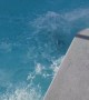 That's One Way to Jump Into a Pool