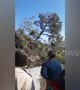 The hills are alive! Landslide footage shows hillside slowly swallow road in north India