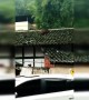 Lost boar ends up on house roof before falling off and getting caught in China