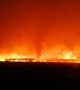 Firefighters battle major forest fire at China-Russia border