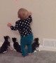 Kids and Kitties