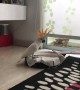 Cockatoo Takes a Ride on a Roomba