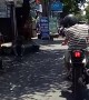 Starling Hitches a Ride on Motorcycle
