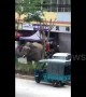 Wild elephant wanders around Chinese town, damaging houses and vehicles