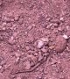 Six-Eyed Sand Spider Buries Herself