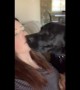 Dog adorably asks for more kisses