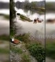 Good Samaritans rescue driver after car falls into river in China’s Guizhou