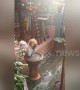 Pomeranian pup insists on dunking face and paws into muddy pool after grooming