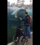Sea lion flips over for joy while chasing zoo visitor's hand on the glass