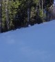 Ski Run Interrupted by Moose