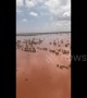Aerial footage shows flood-ravaged Western Australia region