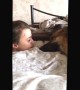 German Shepherd whines to owner and tells her all about her \