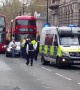 Pro-Brexit supporter blocks traffic on Whitehall in London