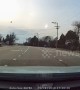 Shocking dash-cam footage captures moment goose electrocutes itself on Illinois powerline
